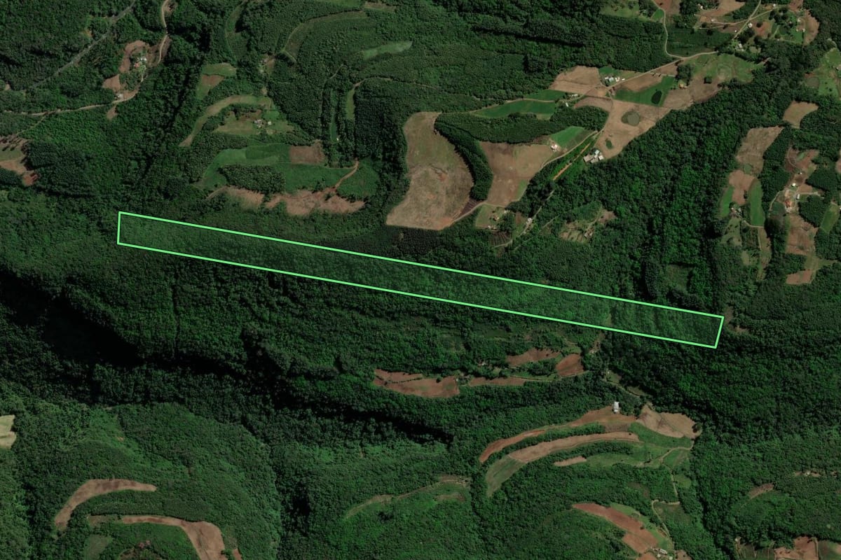 Imagem de satélite do imóvel rural em Picada Café (RS), com o contorno declarado no CAR desenhado por cima.