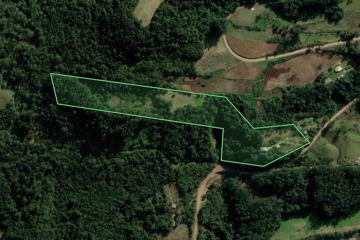 Imagem de satélite do imóvel rural em Picada Café (RS), com o contorno declarado no CAR desenhado por cima.