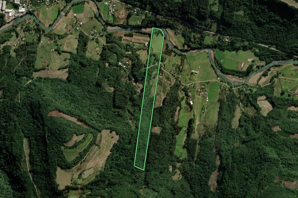 Imagem de satélite do imóvel rural em Picada Café (RS), com o contorno declarado no CAR desenhado por cima.