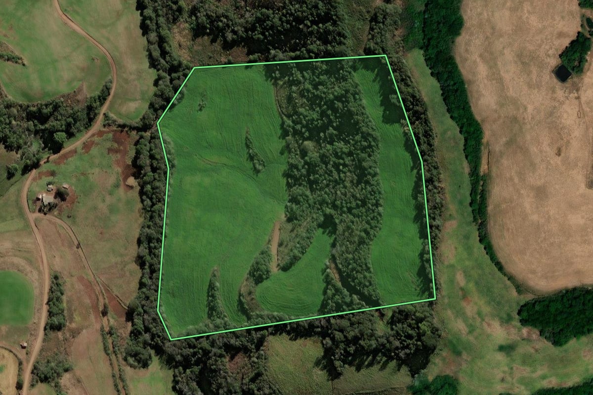 Imagem de satélite do imóvel rural em Pinhal (RS), com o contorno declarado no CAR desenhado por cima.