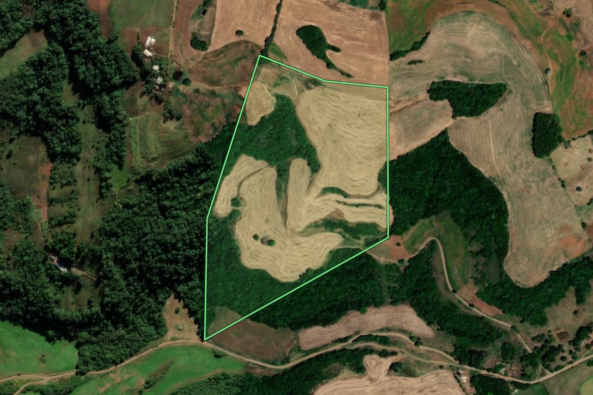 Imagem de satélite do imóvel rural em Pinhal (RS), com o contorno declarado no CAR desenhado por cima.