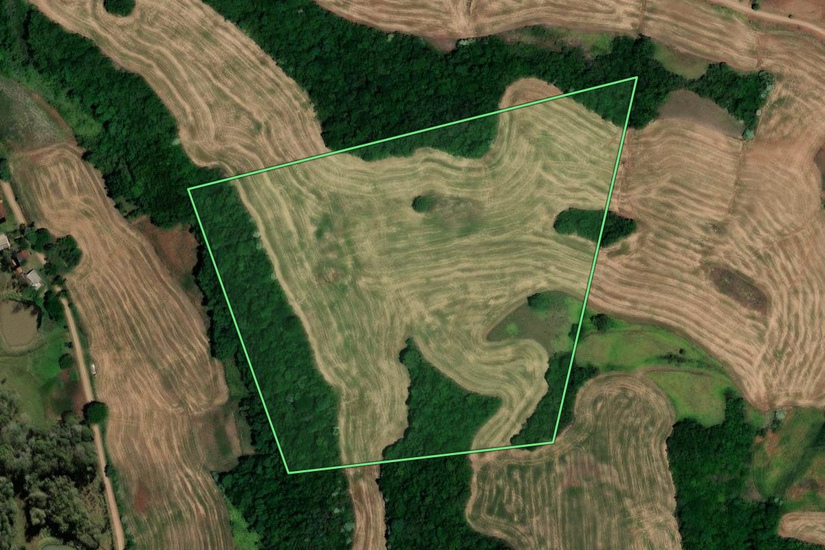 Imagem de satélite do imóvel rural em Pinhal (RS), com o contorno declarado no CAR desenhado por cima.