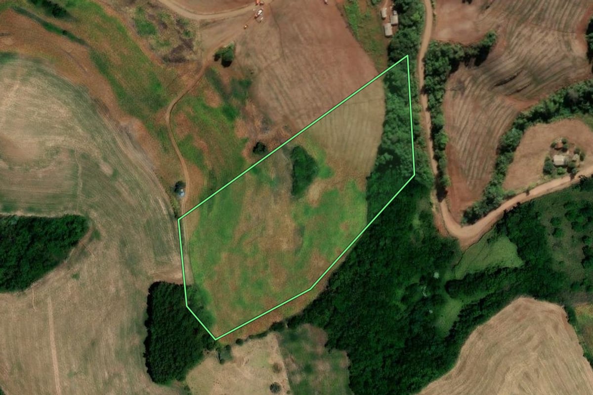 Imagem de satélite do imóvel rural em Pinhal (RS), com o contorno declarado no CAR desenhado por cima.