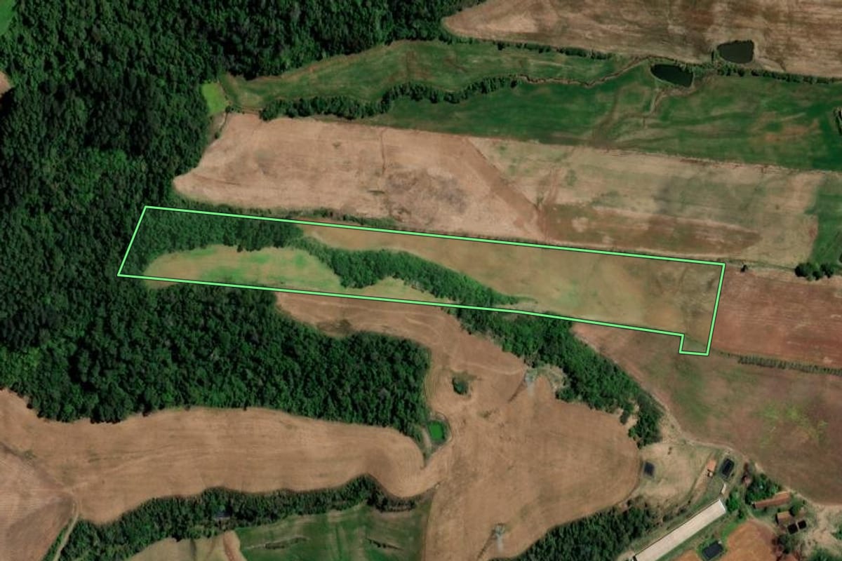 Imagem de satélite do imóvel rural em Pinhal (RS), com o contorno declarado no CAR desenhado por cima.