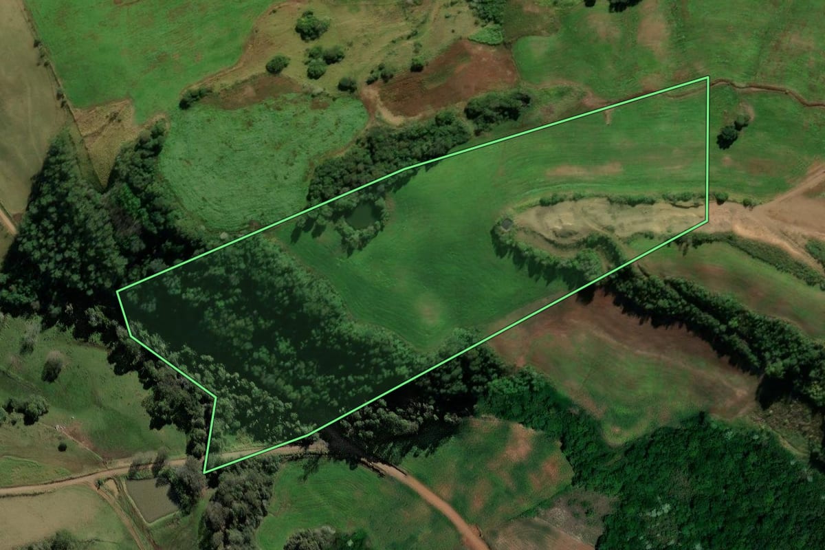 Imagem de satélite do imóvel rural em Pinhal (RS), com o contorno declarado no CAR desenhado por cima.