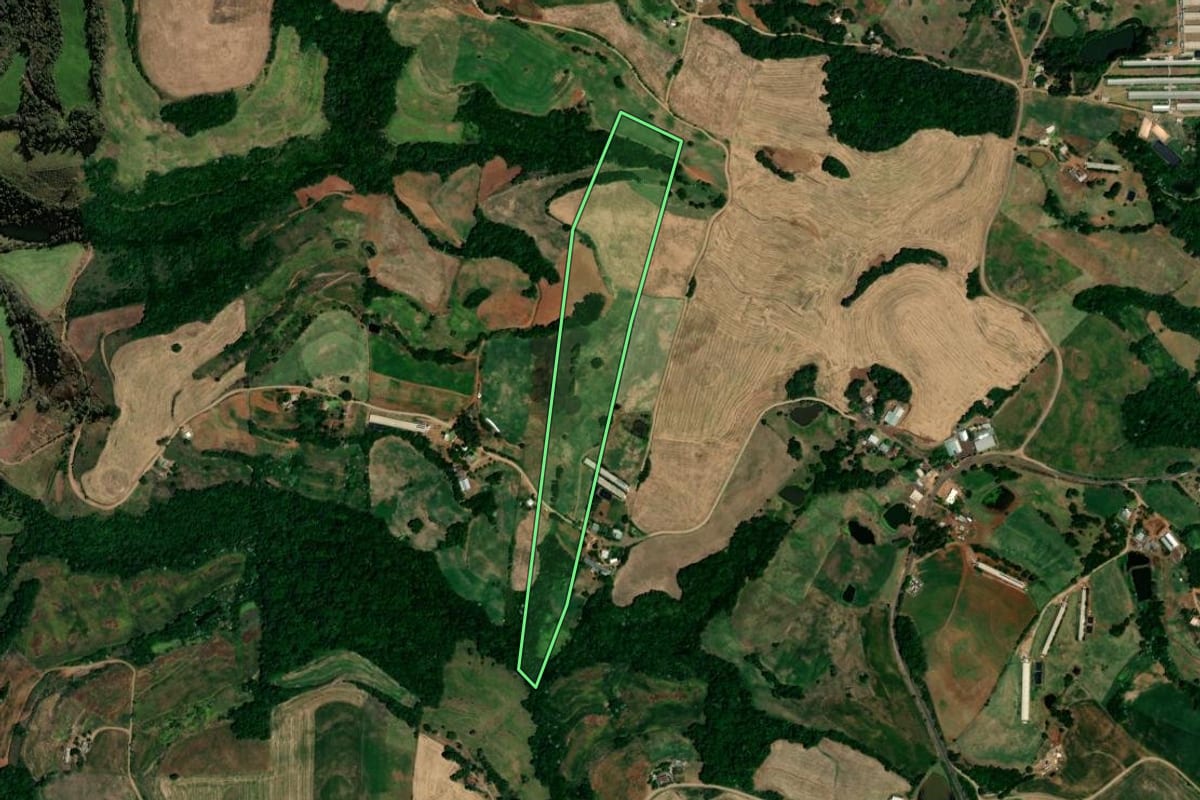 Imagem de satélite do imóvel rural em Pinhal (RS), com o contorno declarado no CAR desenhado por cima.