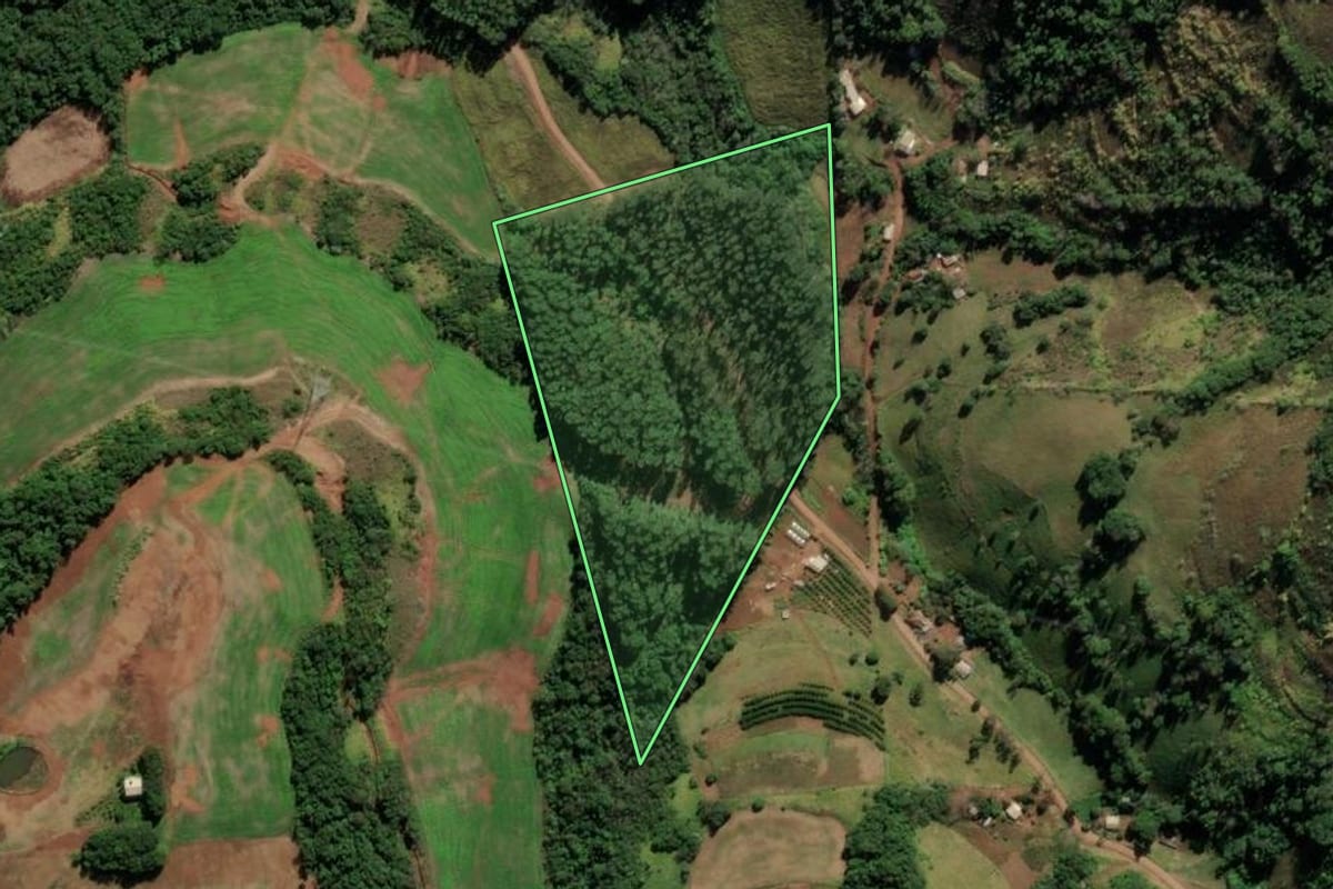 Imagem de satélite do imóvel rural em Pinhal (RS), com o contorno declarado no CAR desenhado por cima.