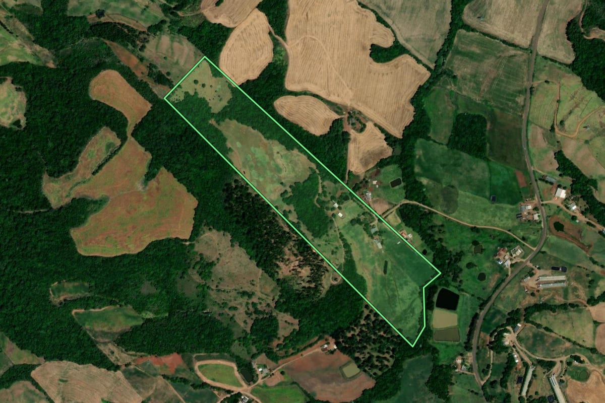 Imagem de satélite do imóvel rural em Pinhal (RS), com o contorno declarado no CAR desenhado por cima.