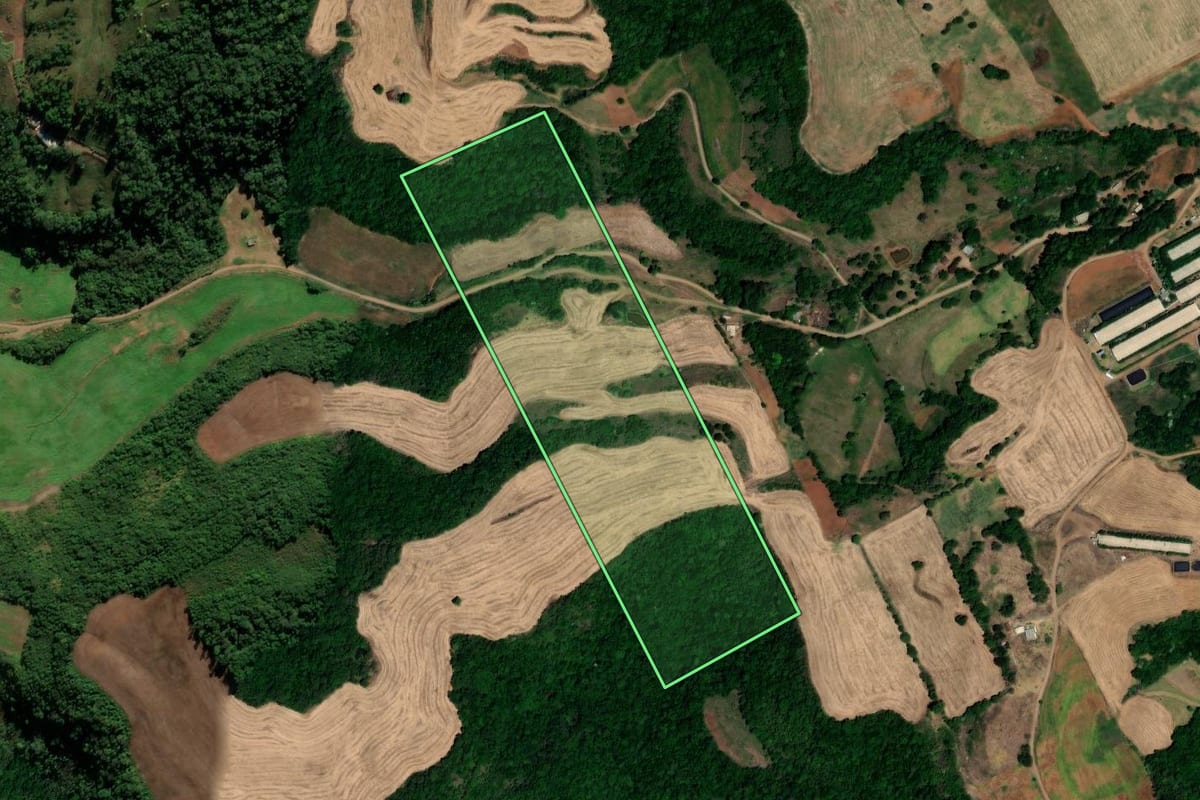 Imagem de satélite do imóvel rural em Pinhal (RS), com o contorno declarado no CAR desenhado por cima.