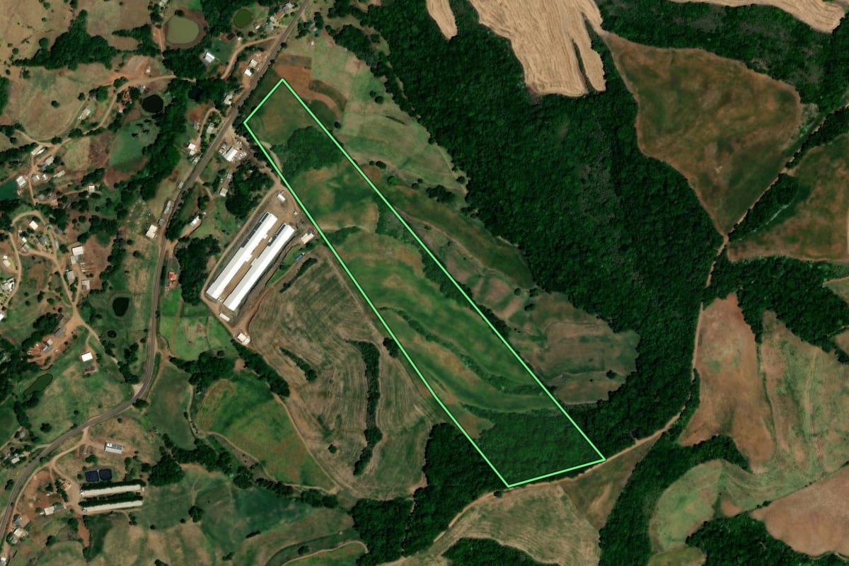 Imagem de satélite do imóvel rural em Pinhal (RS), com o contorno declarado no CAR desenhado por cima.