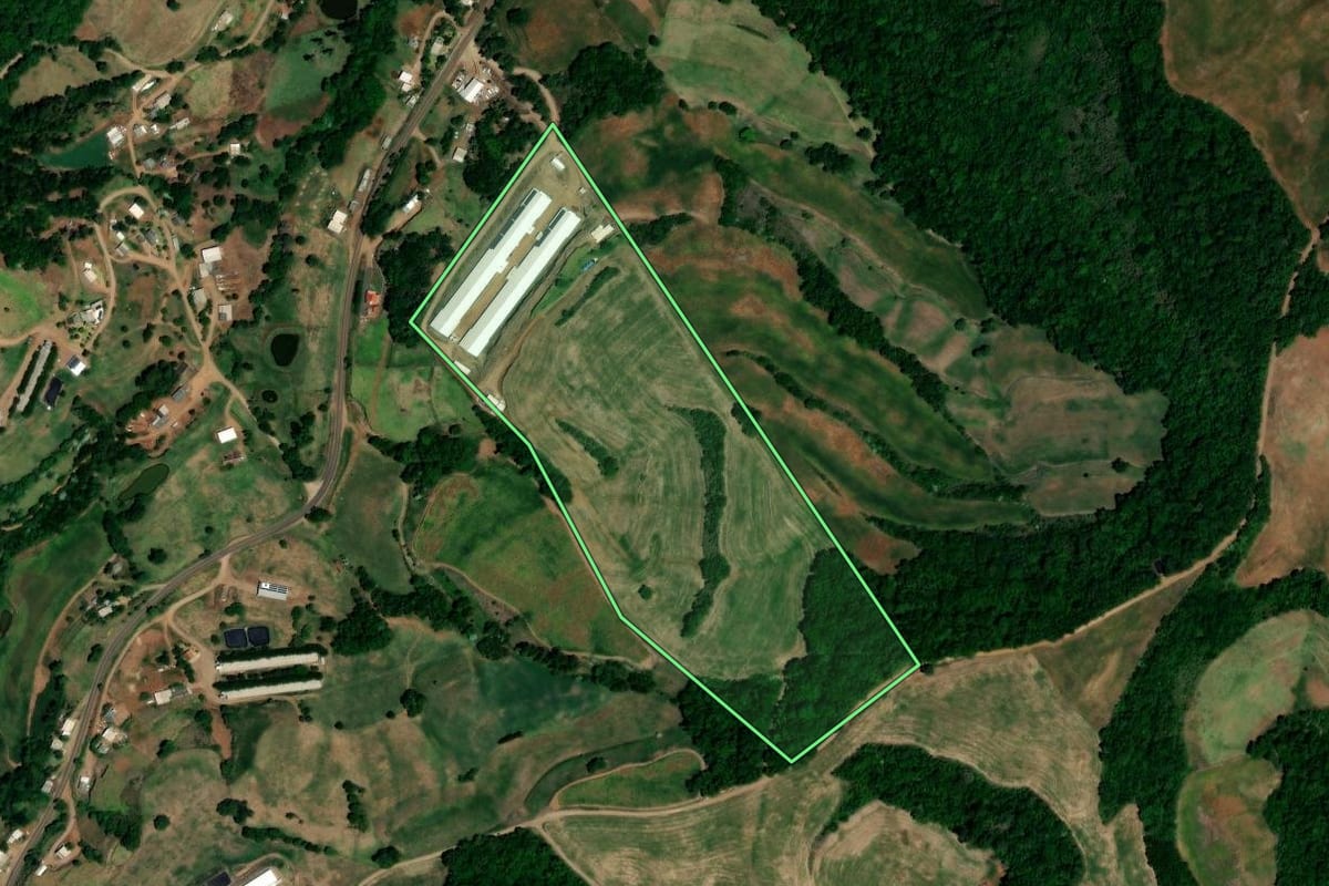 Imagem de satélite do imóvel rural em Pinhal (RS), com o contorno declarado no CAR desenhado por cima.