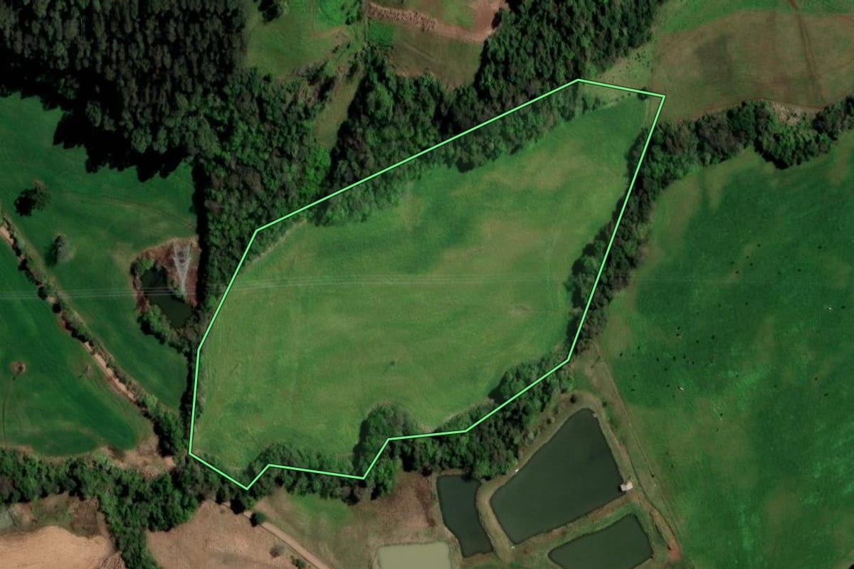 Imagem de satélite do imóvel rural em Pinhal (RS), com o contorno declarado no CAR desenhado por cima.
