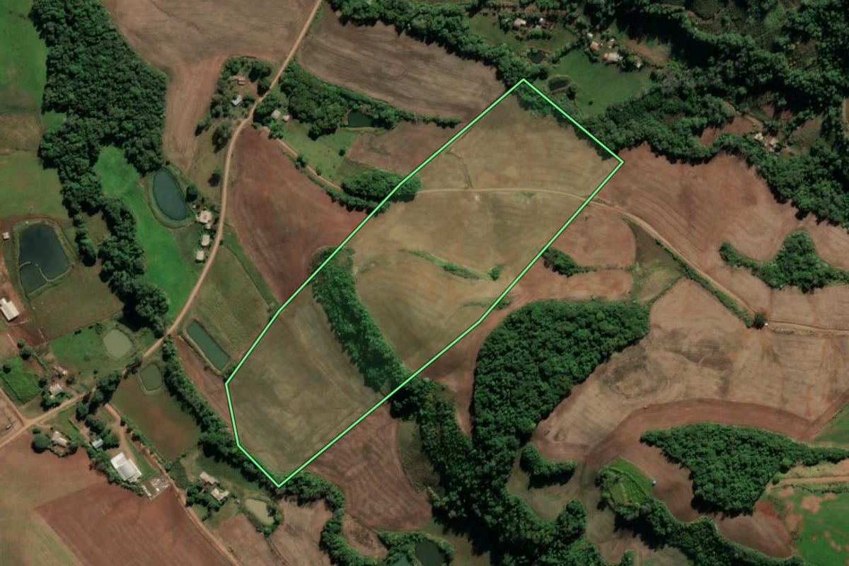Imagem de satélite do imóvel rural em Pinhal (RS), com o contorno declarado no CAR desenhado por cima.