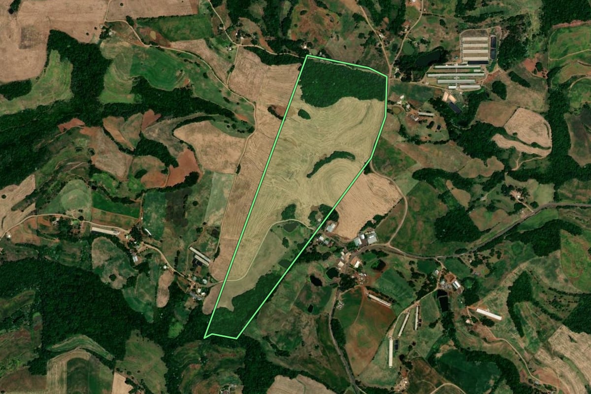 Imagem de satélite do imóvel rural em Pinhal (RS), com o contorno declarado no CAR desenhado por cima.