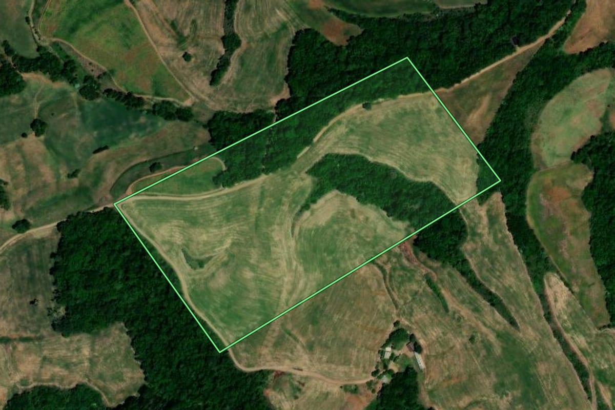 Imagem de satélite do imóvel rural em Pinhal (RS), com o contorno declarado no CAR desenhado por cima.