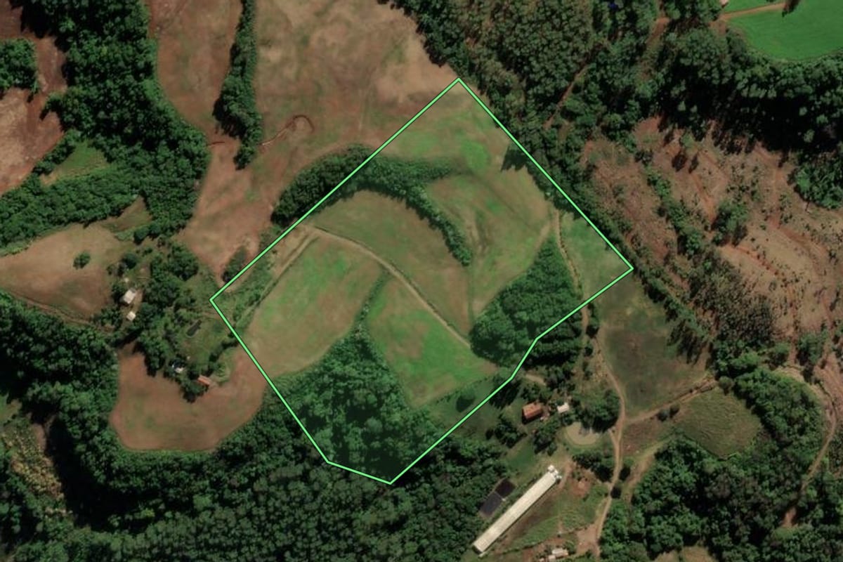 Imagem de satélite do imóvel rural em Pinhal (RS), com o contorno declarado no CAR desenhado por cima.