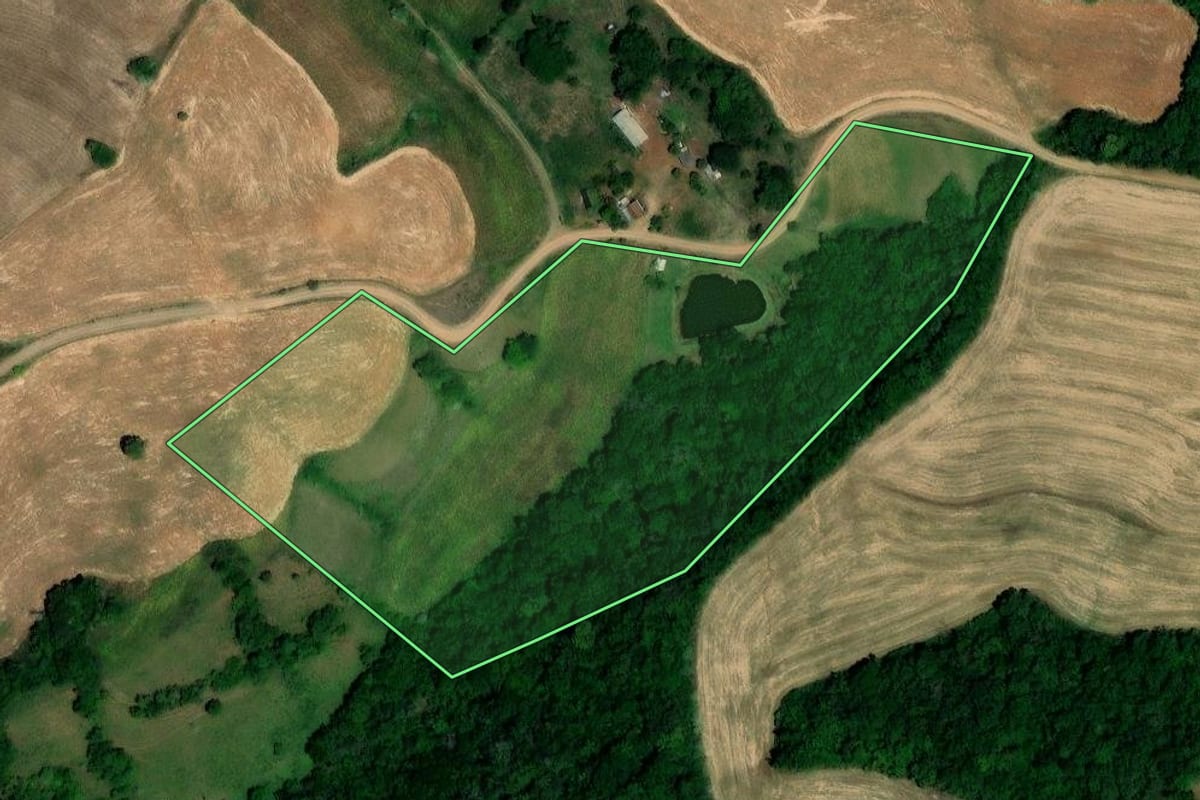Imagem de satélite do imóvel rural em Pinhal (RS), com o contorno declarado no CAR desenhado por cima.