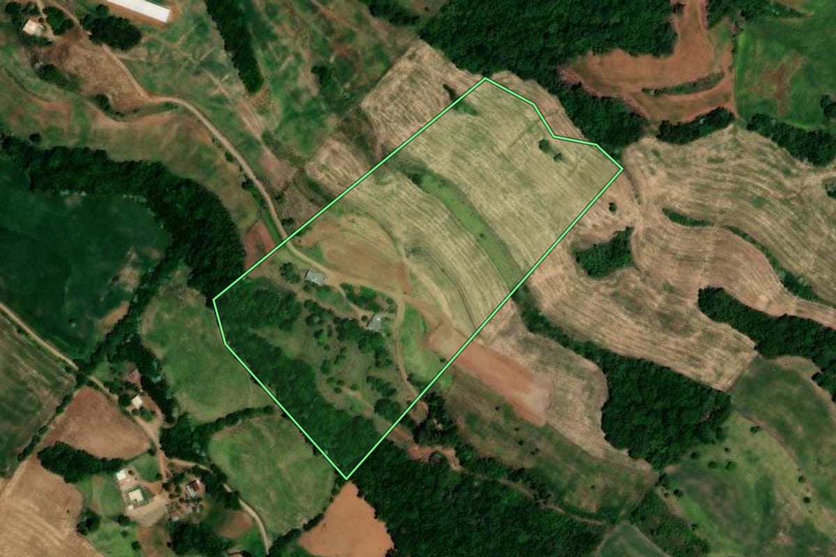Imagem de satélite do imóvel rural em Pinhal (RS), com o contorno declarado no CAR desenhado por cima.