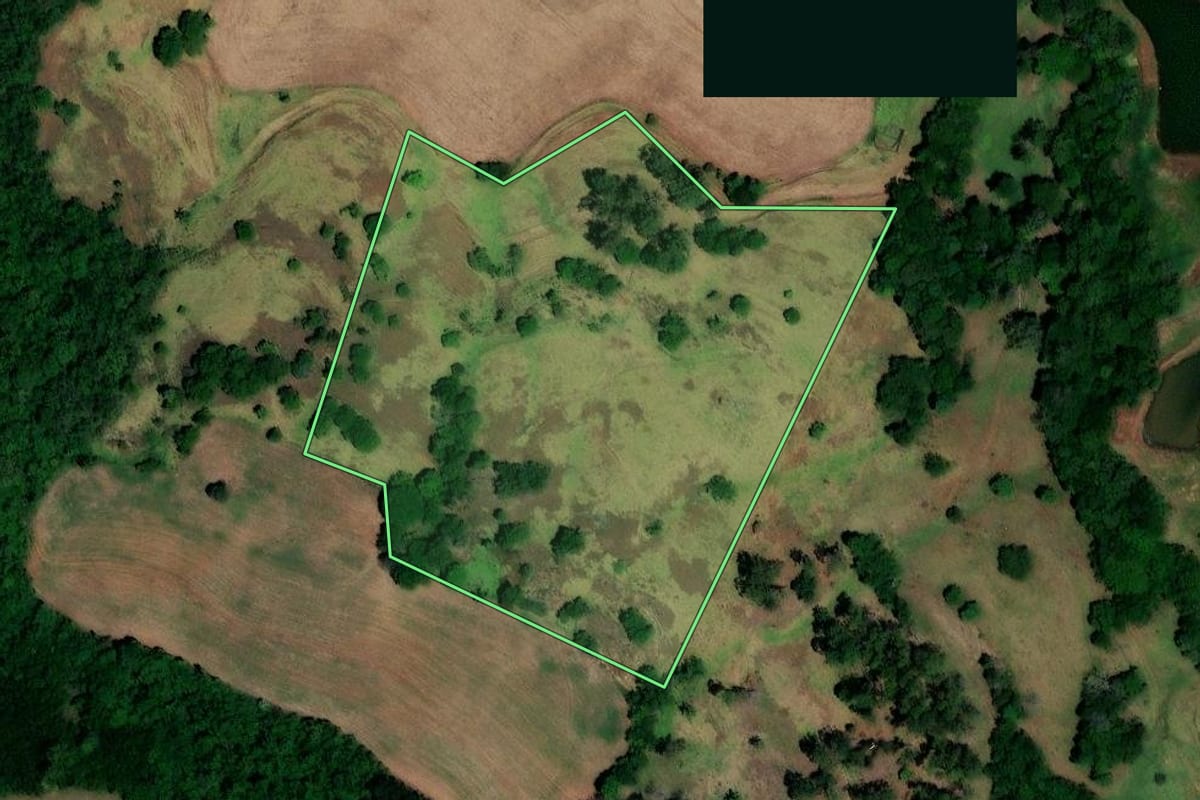 Imagem de satélite do imóvel rural em Pinhal (RS), com o contorno declarado no CAR desenhado por cima.