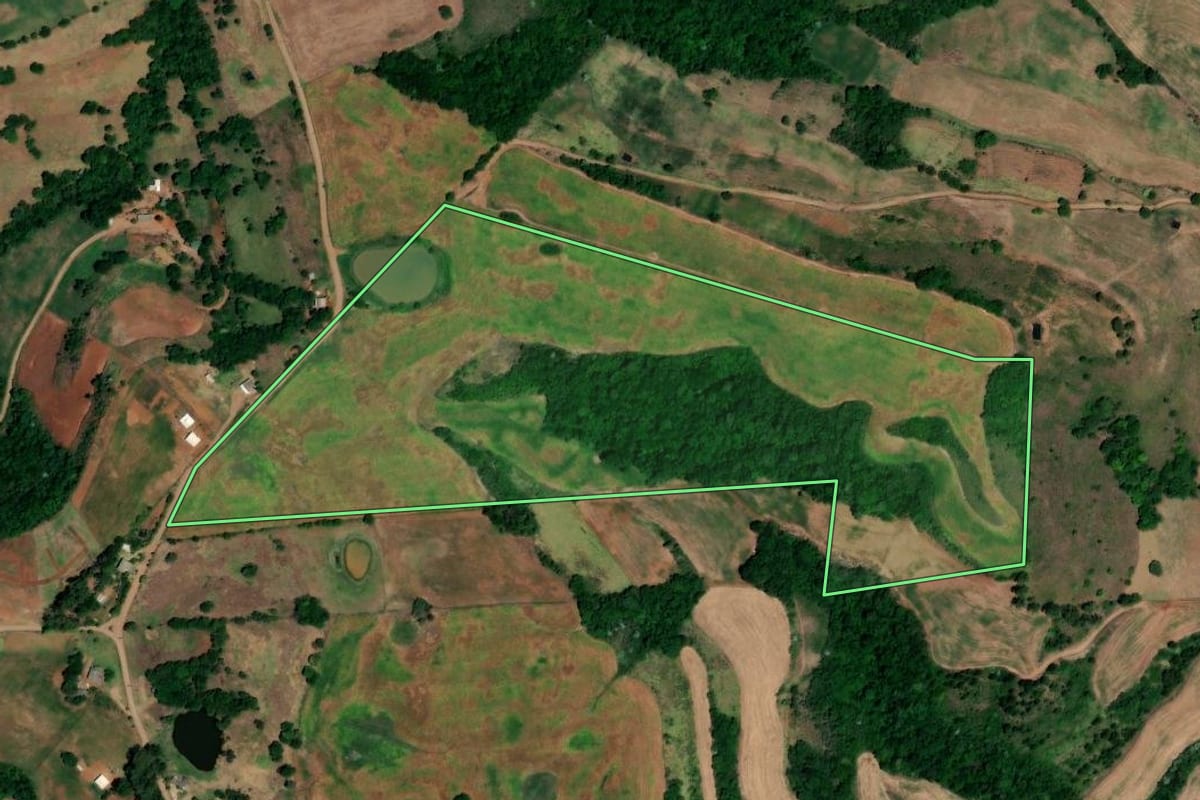 Imagem de satélite do imóvel rural em Pinhal (RS), com o contorno declarado no CAR desenhado por cima.