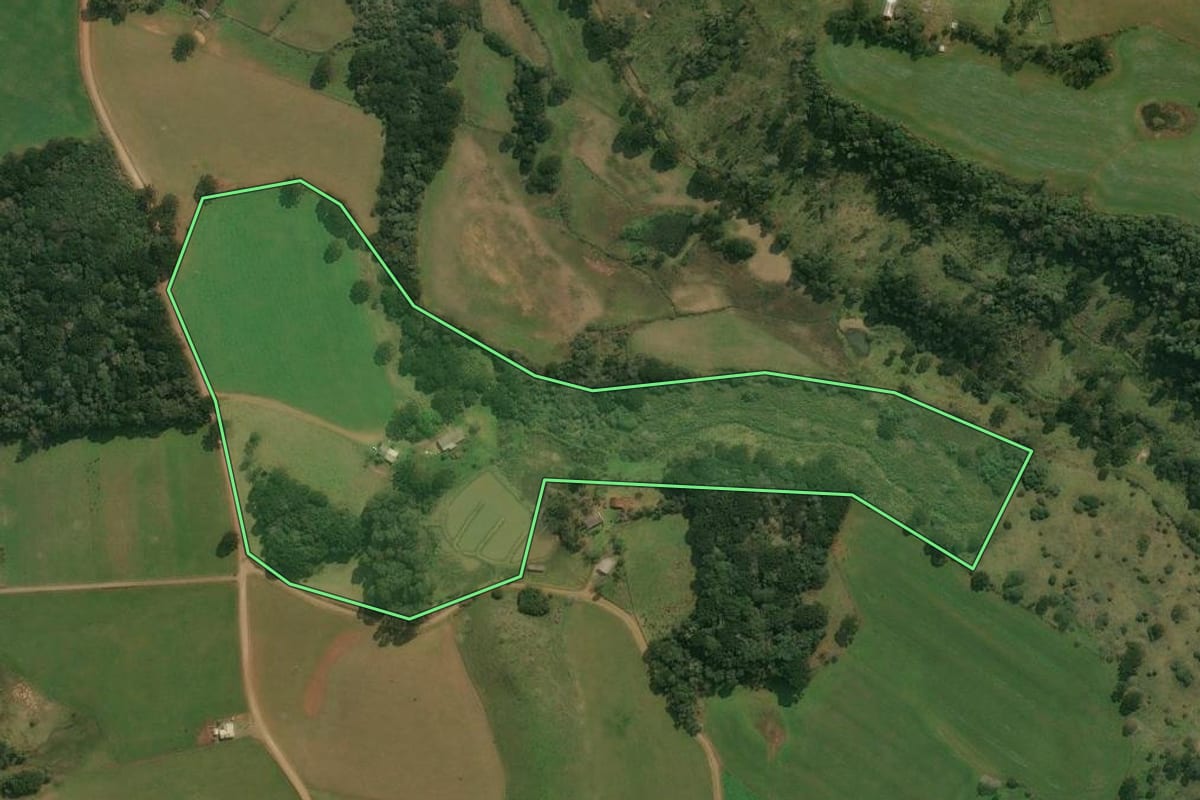 Imagem de satélite do imóvel rural em Pinhal da Serra (RS), com o contorno declarado no CAR desenhado por cima.