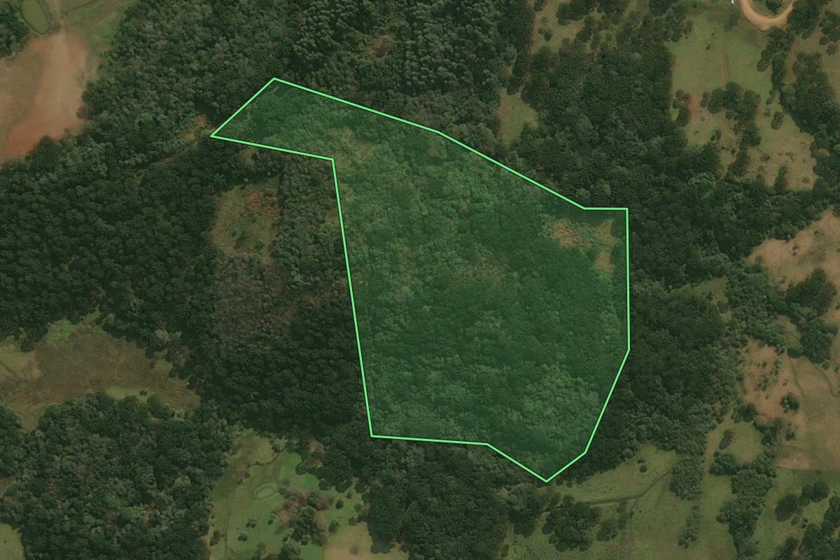 Imagem de satélite do imóvel rural em Pinhal da Serra (RS), com o contorno declarado no CAR desenhado por cima.