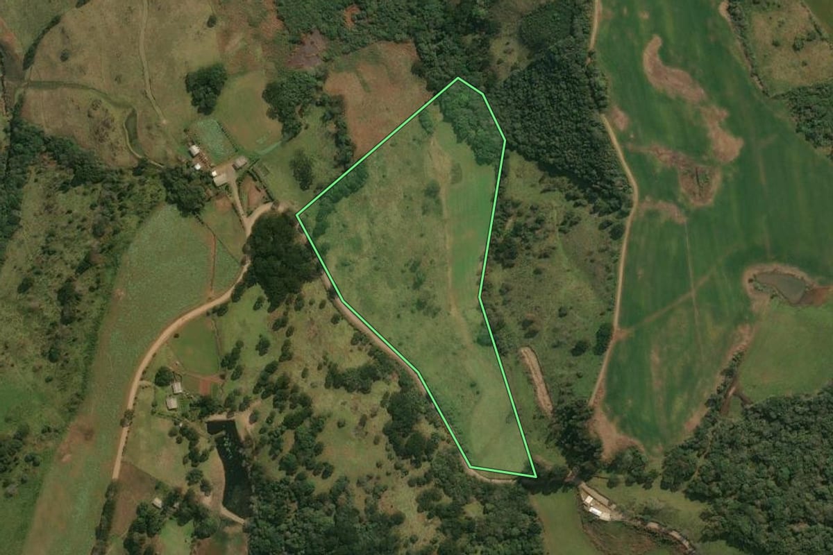 Imagem de satélite do imóvel rural em Pinhal da Serra (RS), com o contorno declarado no CAR desenhado por cima.