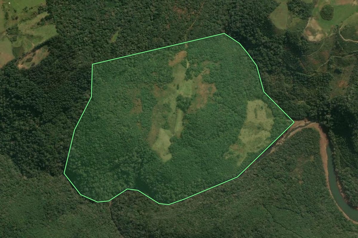 Imagem de satélite do imóvel rural em Pinhal da Serra (RS), com o contorno declarado no CAR desenhado por cima.