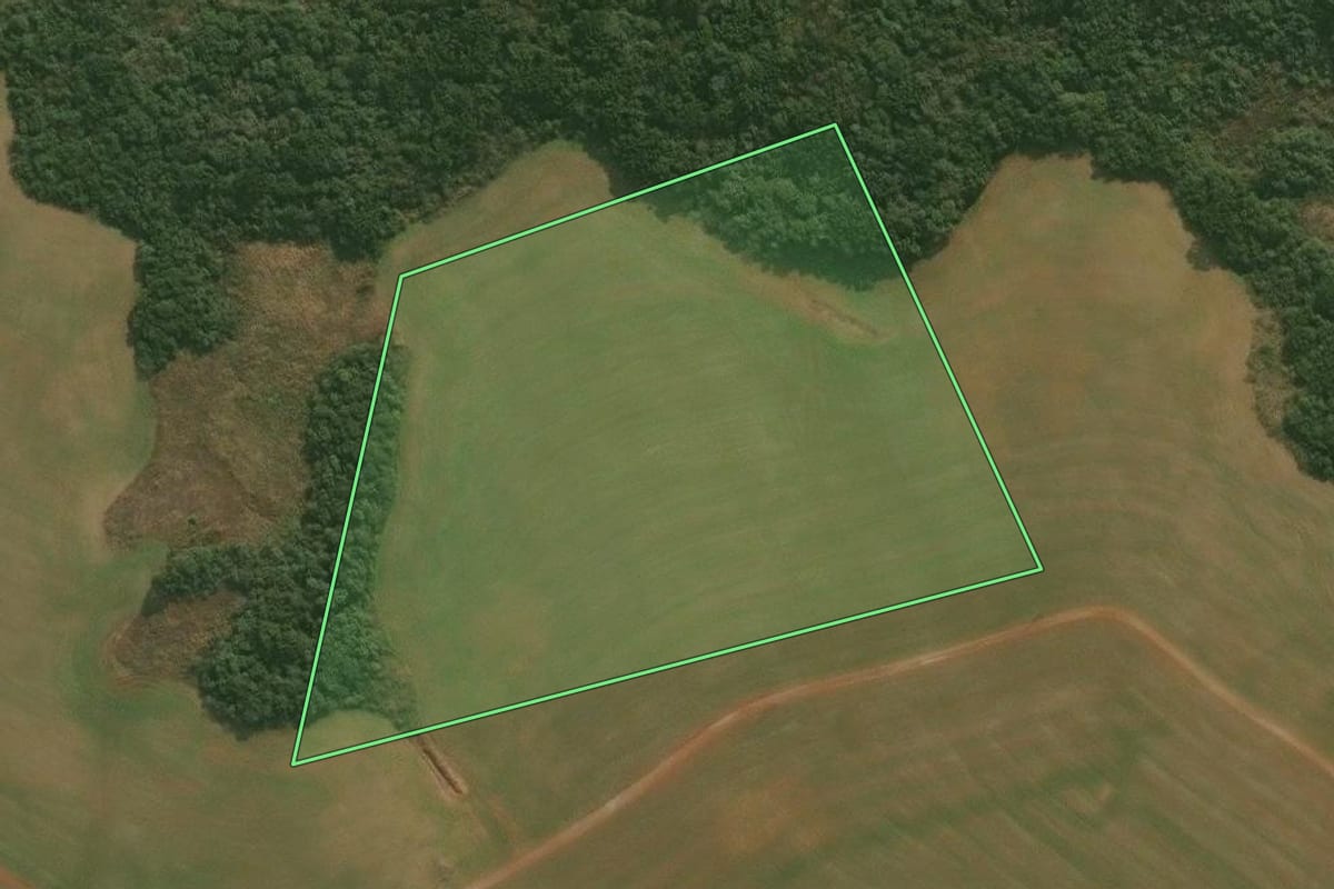 Imagem de satélite do imóvel rural em Pinhal da Serra (RS), com o contorno declarado no CAR desenhado por cima.
