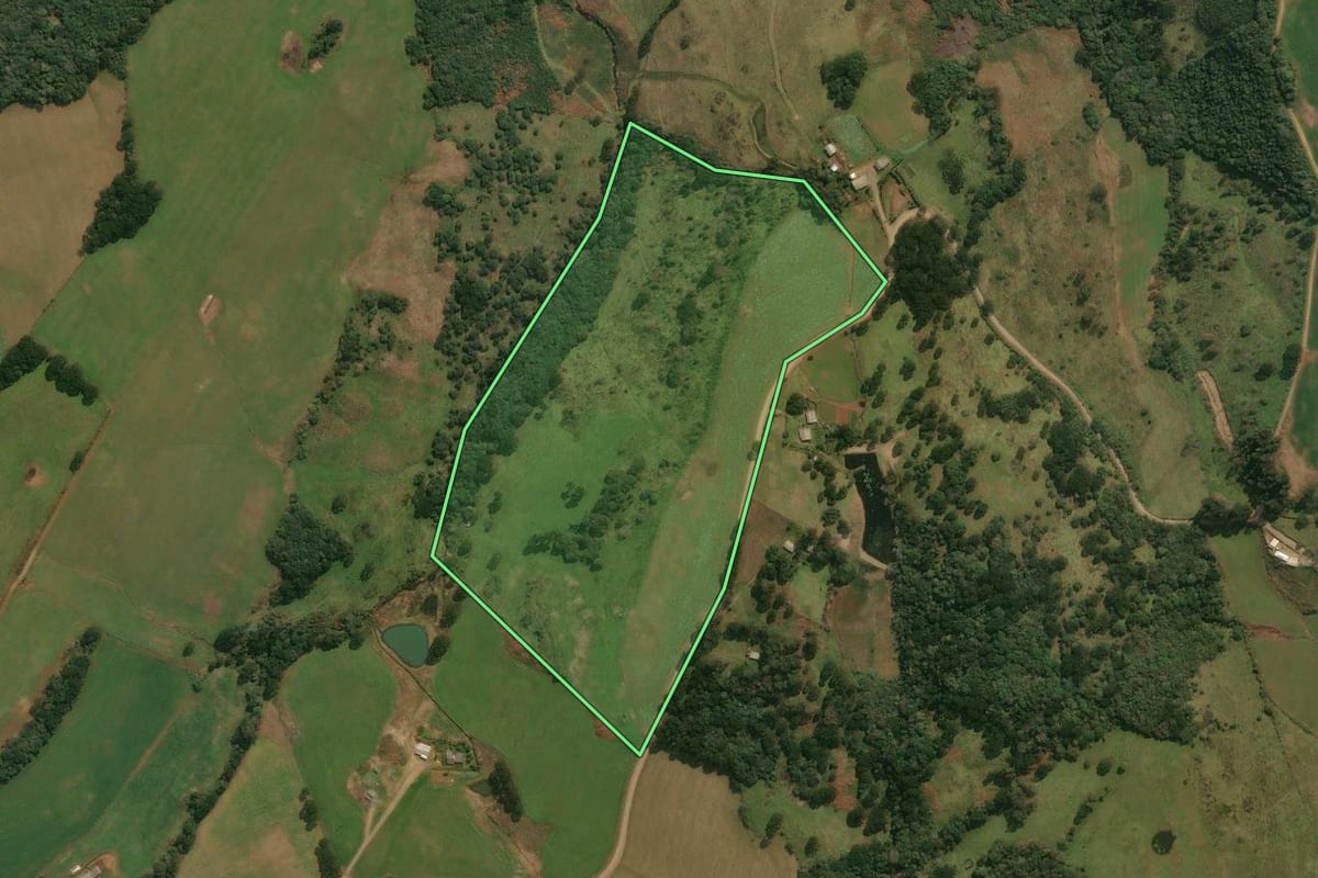 Imagem de satélite do imóvel rural em Pinhal da Serra (RS), com o contorno declarado no CAR desenhado por cima.