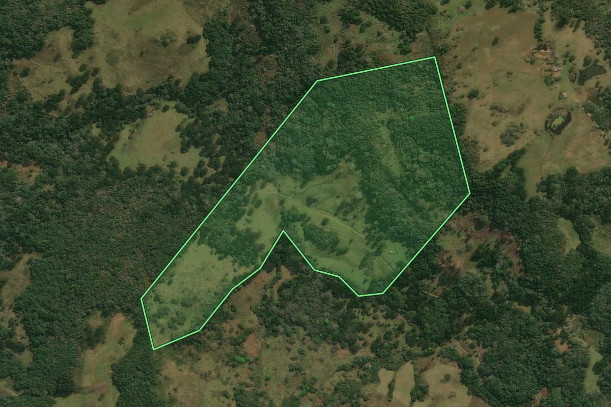 Imagem de satélite do imóvel rural em Pinhal da Serra (RS), com o contorno declarado no CAR desenhado por cima.