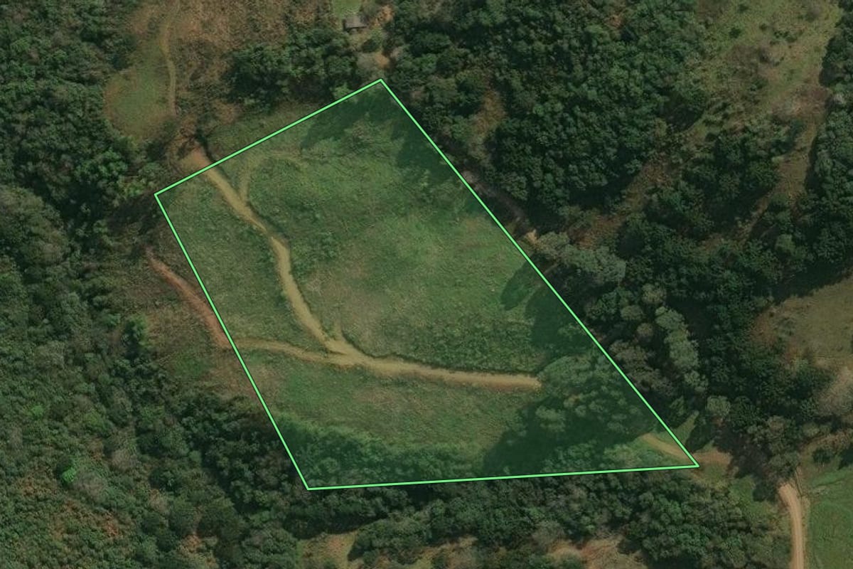 Imagem de satélite do imóvel rural em Pinhal da Serra (RS), com o contorno declarado no CAR desenhado por cima.