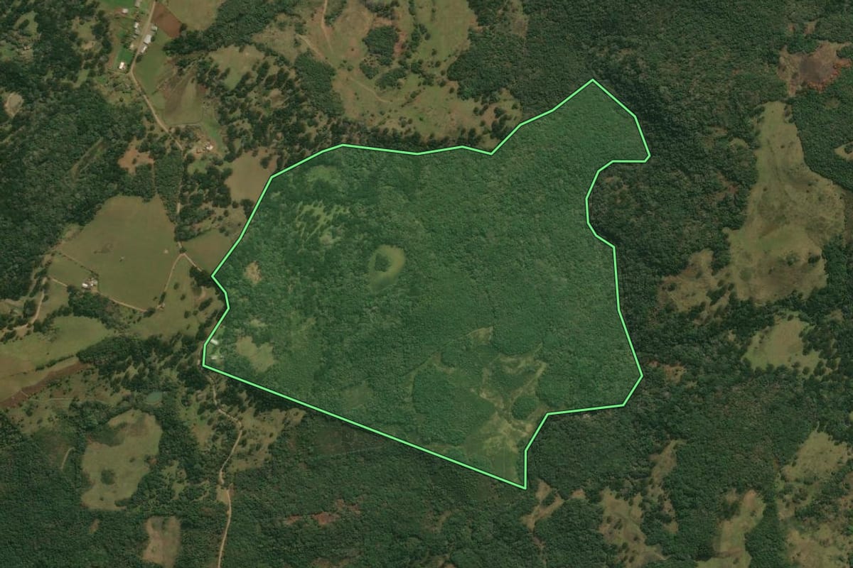 Imagem de satélite do imóvel rural em Pinhal da Serra (RS), com o contorno declarado no CAR desenhado por cima.
