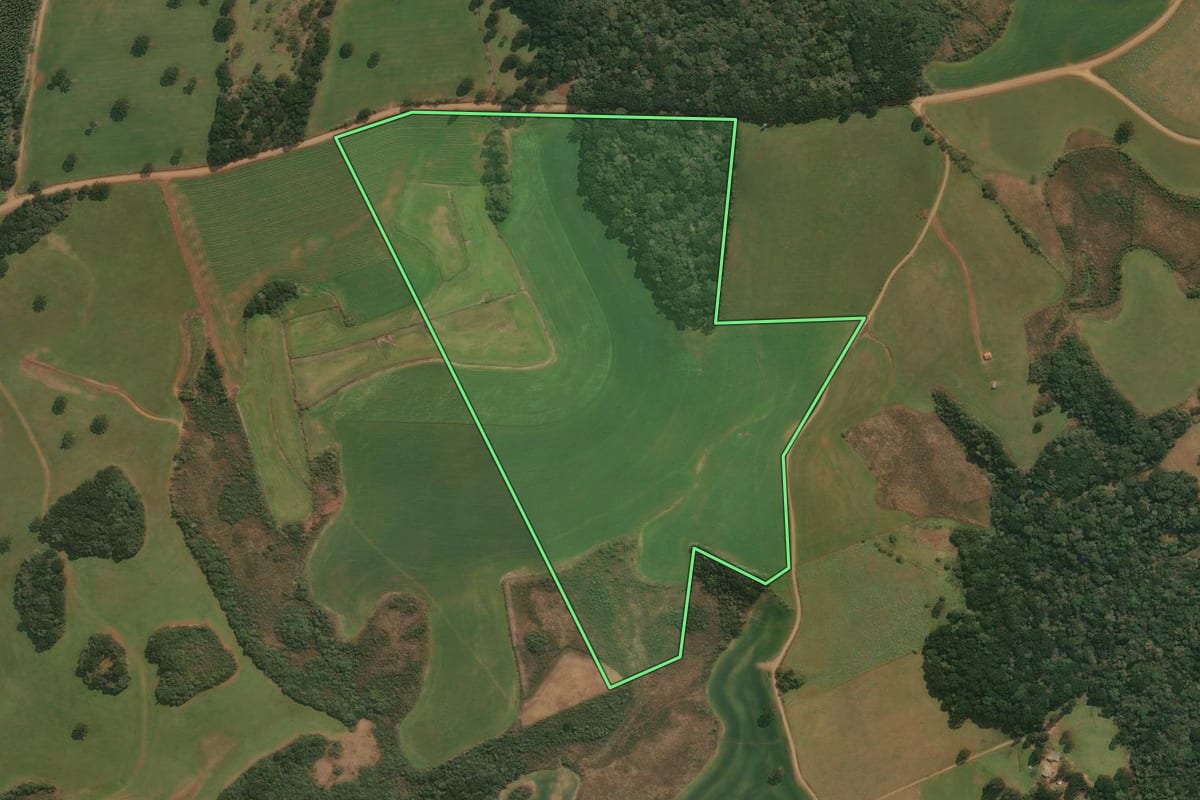Imagem de satélite do imóvel rural em Pinhal da Serra (RS), com o contorno declarado no CAR desenhado por cima.