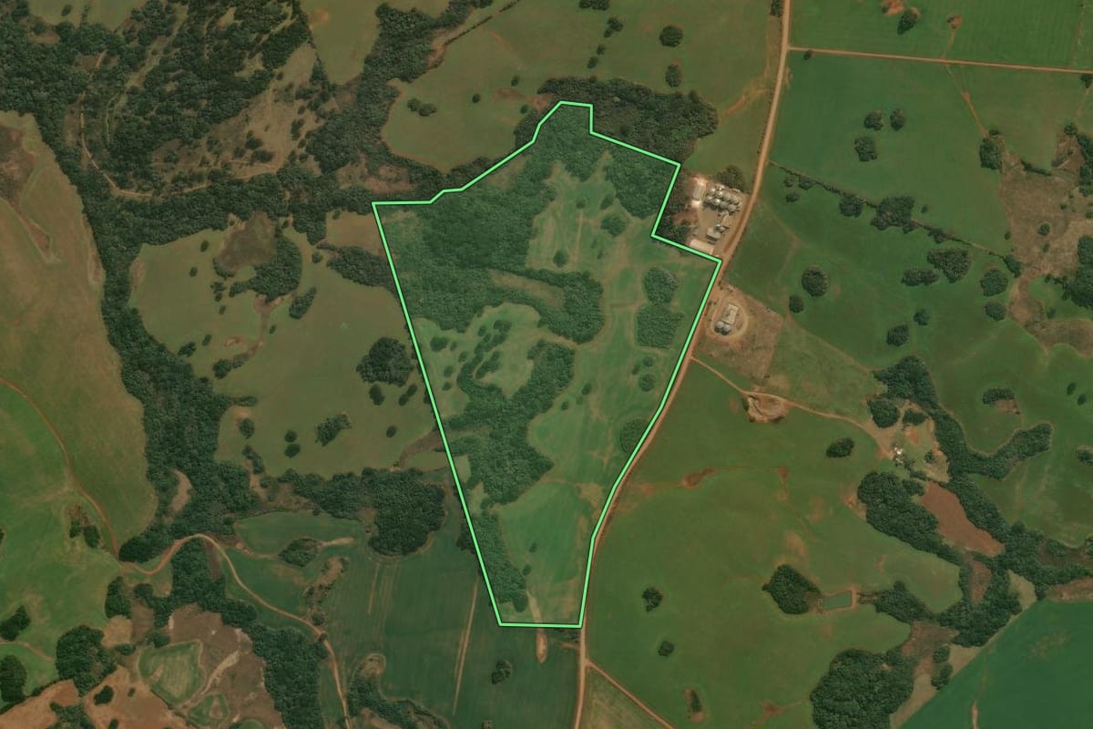 Imagem de satélite do imóvel rural em Pinhal da Serra (RS), com o contorno declarado no CAR desenhado por cima.