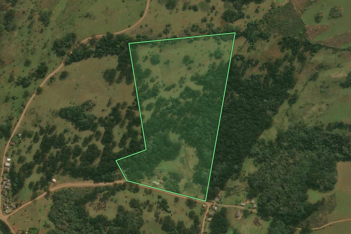 Imagem de satélite do imóvel rural em Pinhal da Serra (RS), com o contorno declarado no CAR desenhado por cima.