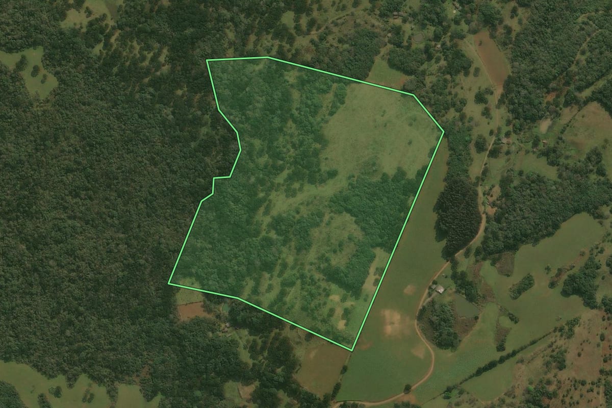 Imagem de satélite do imóvel rural em Pinhal da Serra (RS), com o contorno declarado no CAR desenhado por cima.