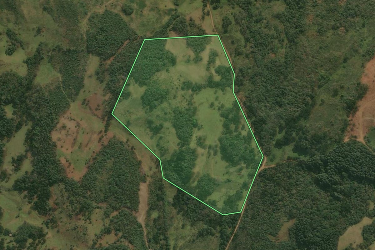 Imagem de satélite do imóvel rural em Pinhal da Serra (RS), com o contorno declarado no CAR desenhado por cima.