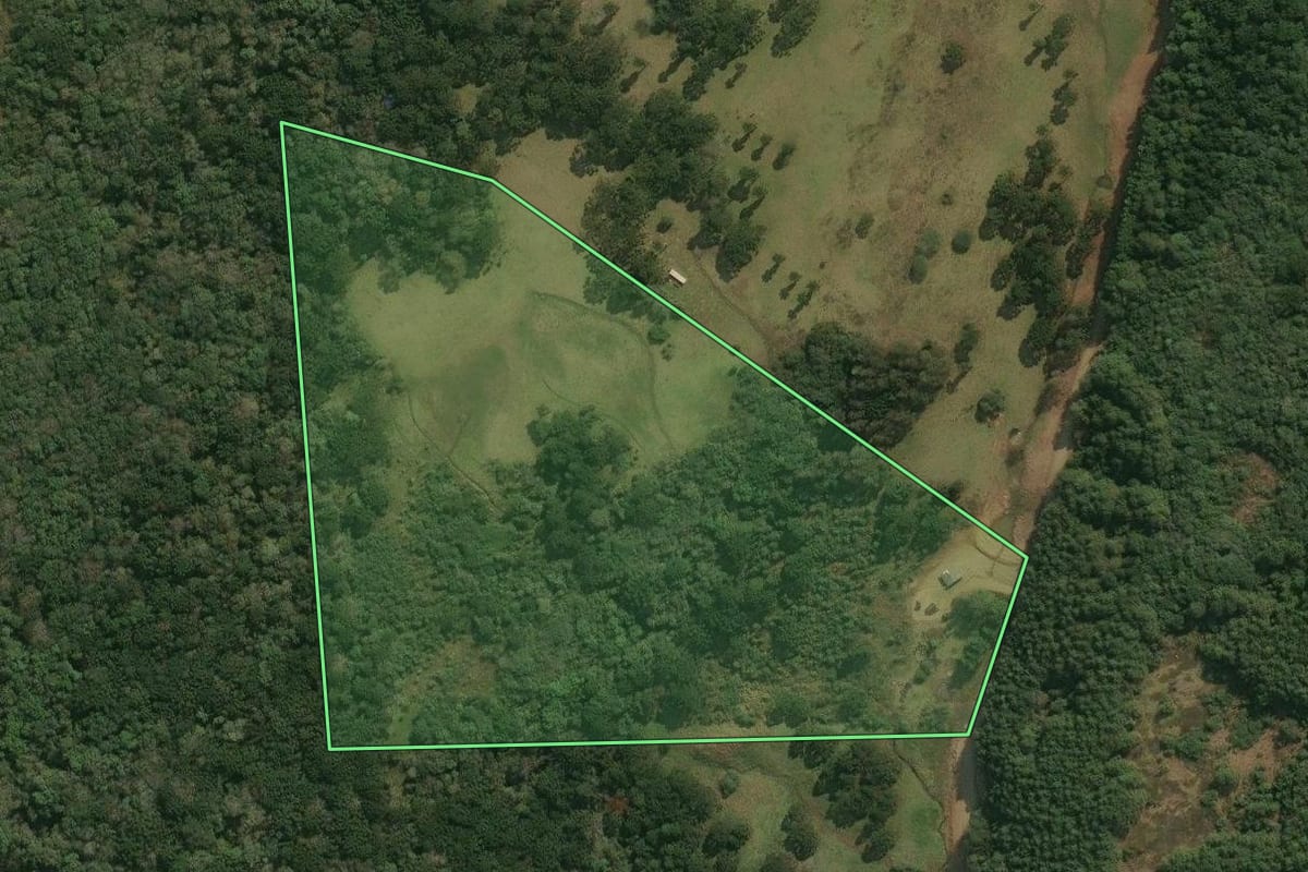 Imagem de satélite do imóvel rural em Pinhal da Serra (RS), com o contorno declarado no CAR desenhado por cima.