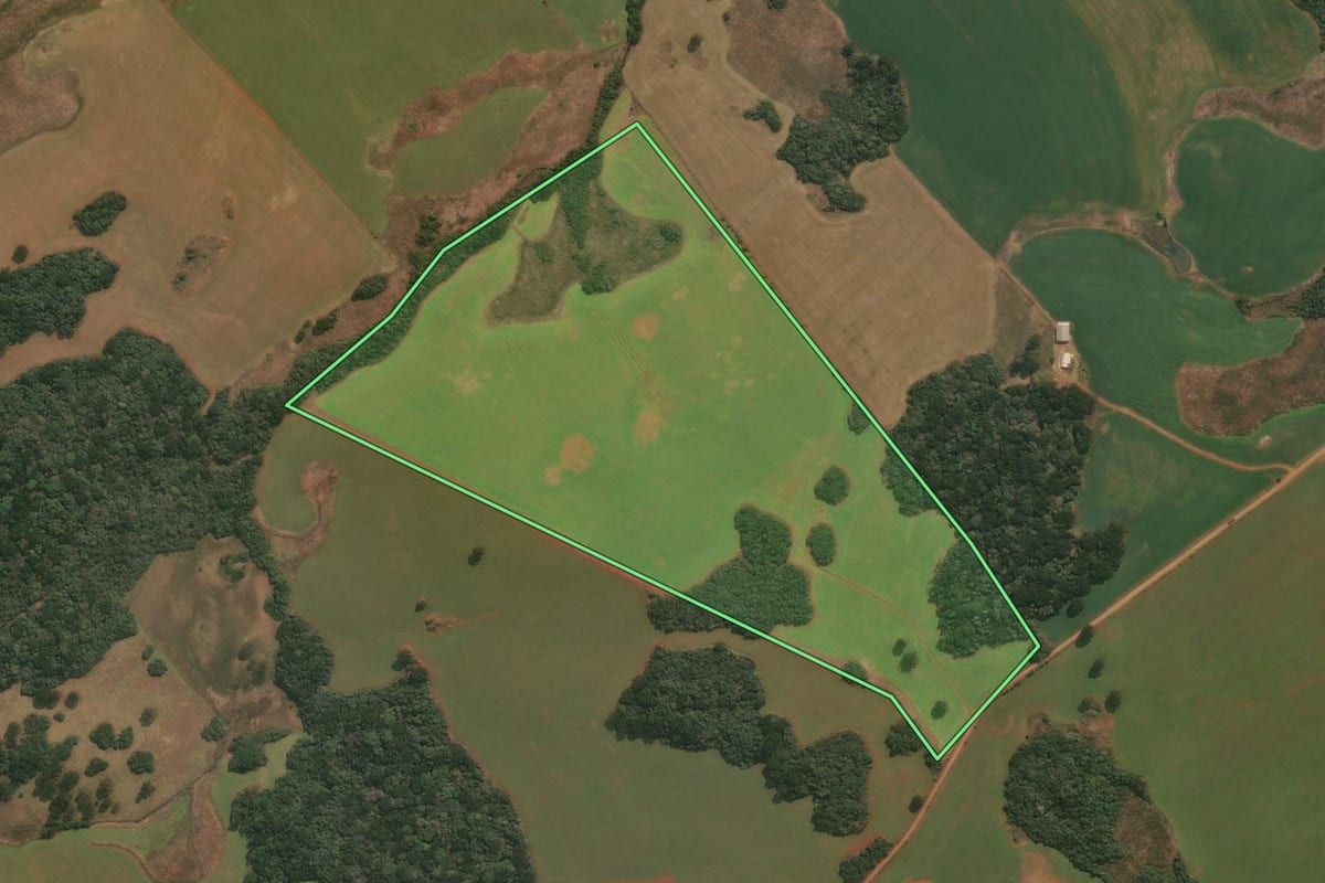 Imagem de satélite do imóvel rural em Pinhal da Serra (RS), com o contorno declarado no CAR desenhado por cima.
