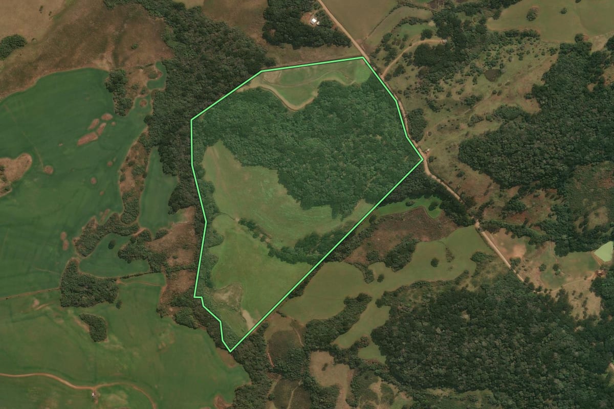 Imagem de satélite do imóvel rural em Pinhal da Serra (RS), com o contorno declarado no CAR desenhado por cima.