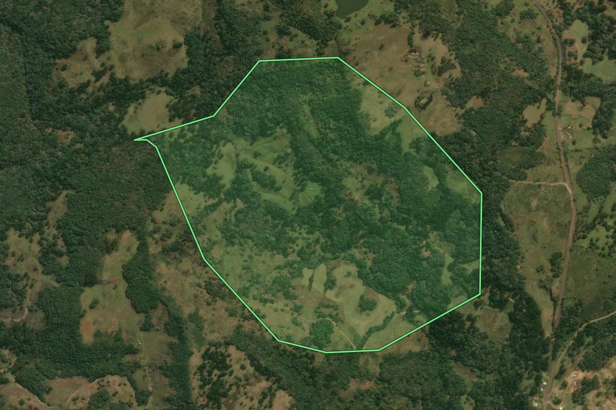 Imagem de satélite do imóvel rural em Pinhal da Serra (RS), com o contorno declarado no CAR desenhado por cima.
