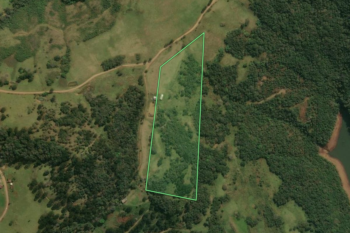 Imagem de satélite do imóvel rural em Pinhal da Serra (RS), com o contorno declarado no CAR desenhado por cima.