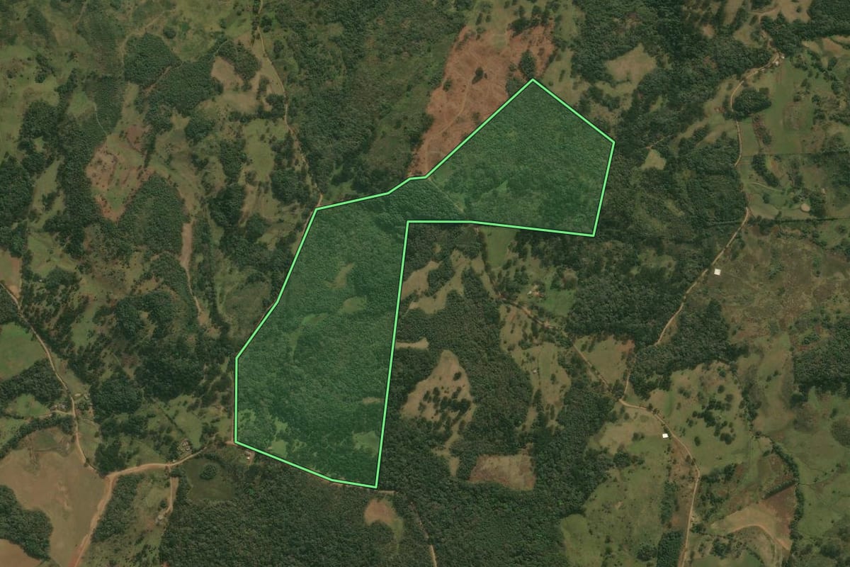 Imagem de satélite do imóvel rural em Pinhal da Serra (RS), com o contorno declarado no CAR desenhado por cima.