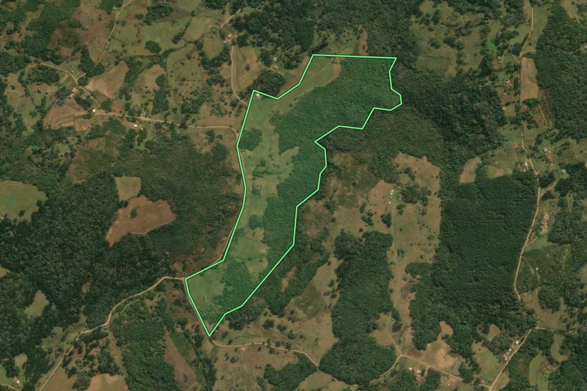 Imagem de satélite do imóvel rural em Pinhal da Serra (RS), com o contorno declarado no CAR desenhado por cima.