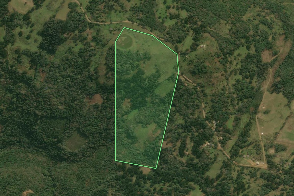 Imagem de satélite do imóvel rural em Pinhal da Serra (RS), com o contorno declarado no CAR desenhado por cima.