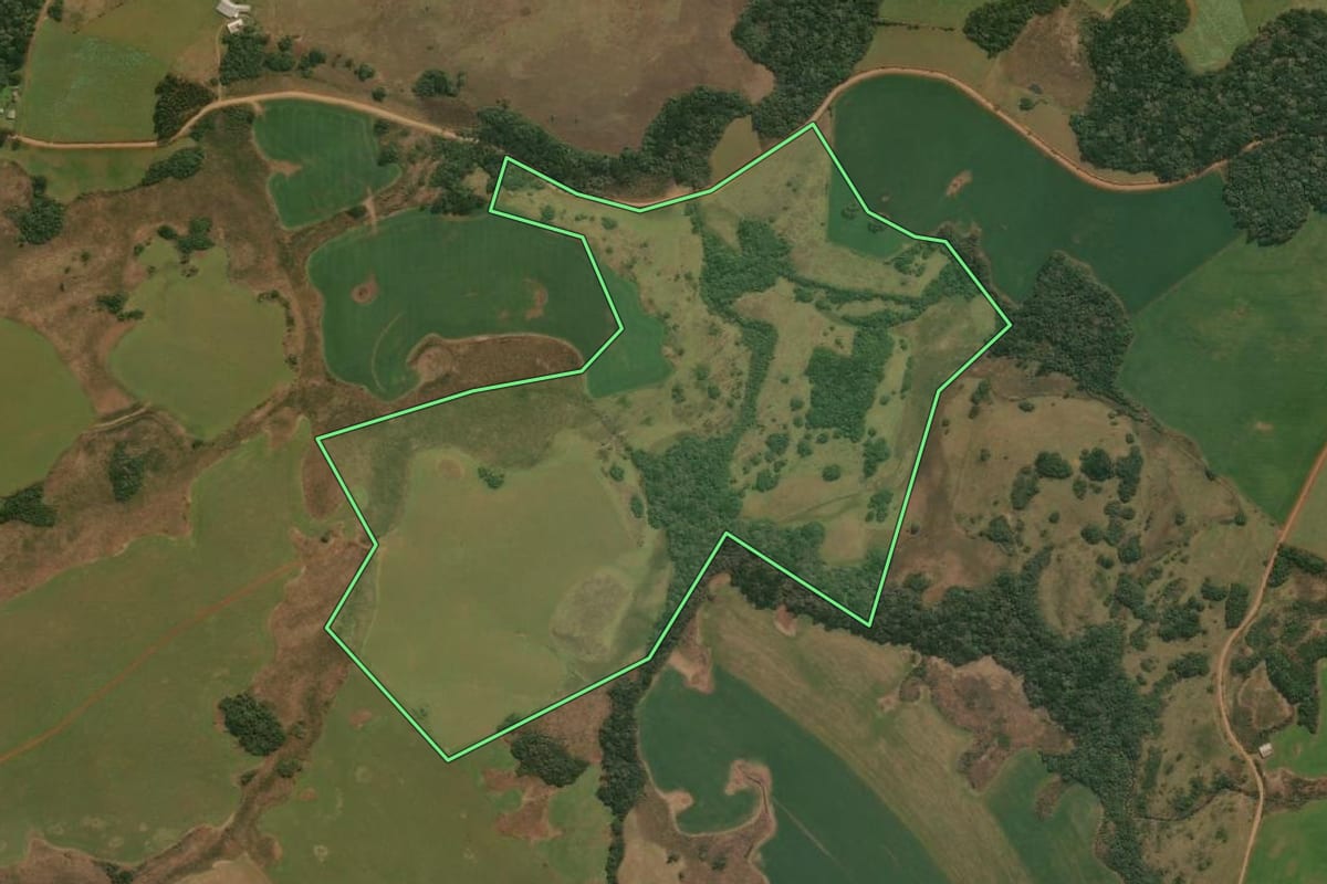 Imagem de satélite do imóvel rural em Pinhal da Serra (RS), com o contorno declarado no CAR desenhado por cima.