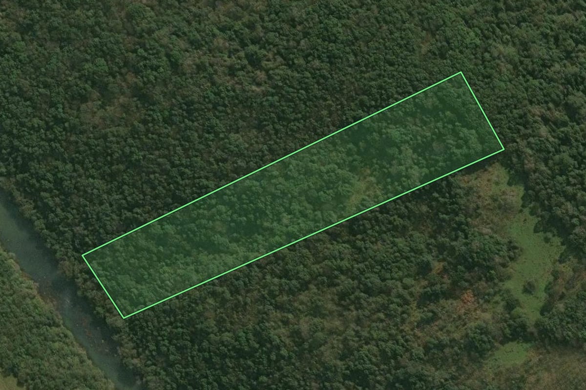 Imagem de satélite do imóvel rural em Pinhal da Serra (RS), com o contorno declarado no CAR desenhado por cima.