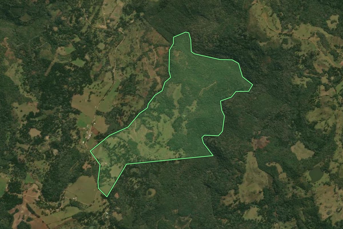 Imagem de satélite do imóvel rural em Pinhal da Serra (RS), com o contorno declarado no CAR desenhado por cima.