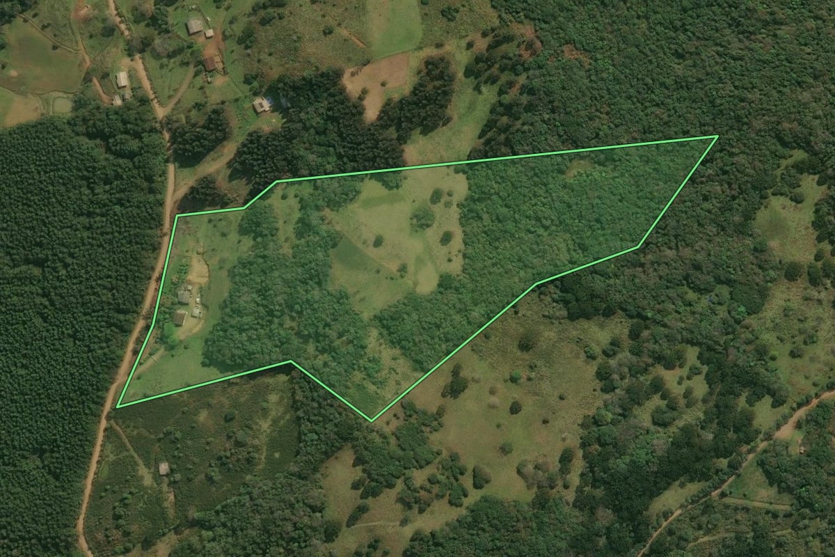 Imagem de satélite do imóvel rural em Pinhal da Serra (RS), com o contorno declarado no CAR desenhado por cima.